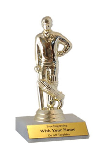 Cricket Participation Trophy