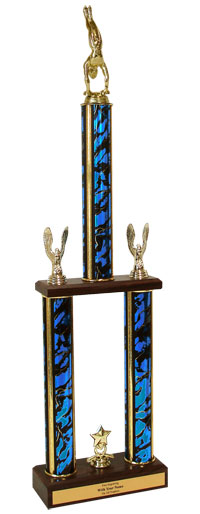 Gymnastics Championship Trophy