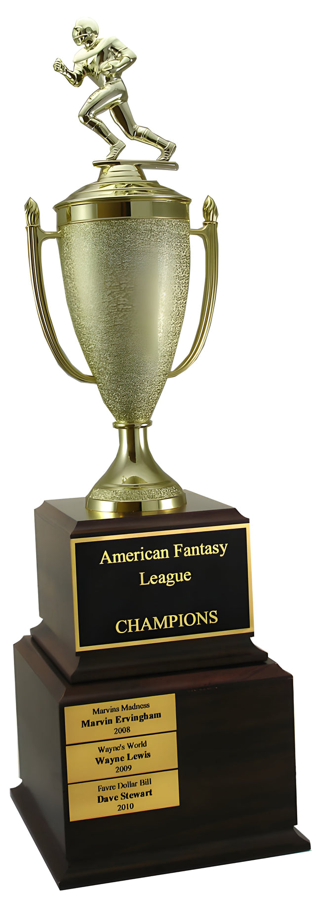 Fantasy Football Perpetual Trophy
