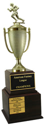 Fantasy Football Perpetual Trophy