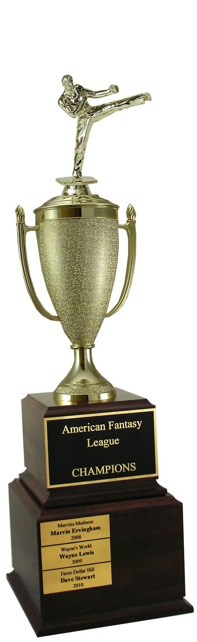 Karate Perpetual Trophy