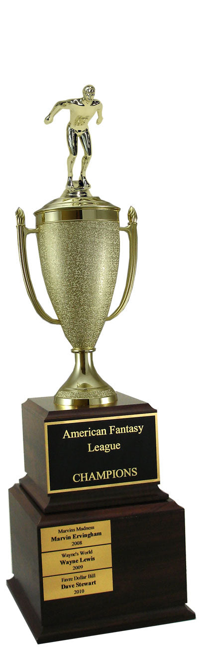 Swimming Perpetual Trophy