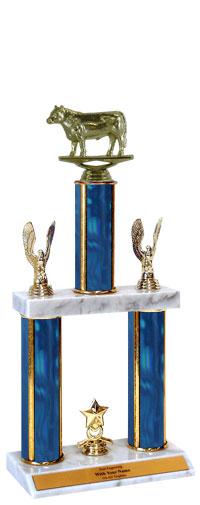 Steer Champions Trophy