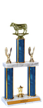 Steer Champions Trophy