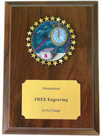 Holographic Insert Swimming Plaque