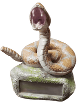 Rattlesnake Trophy