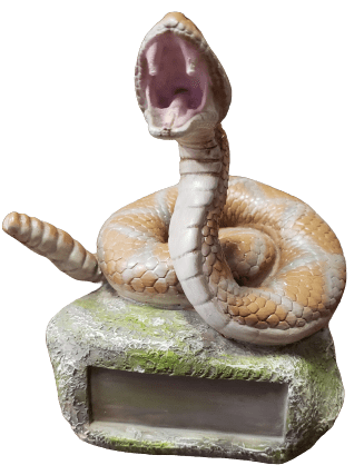Rattlesnake Trophy