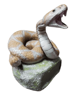 Rattlesnake Trophy