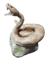 Rattlesnake Trophy