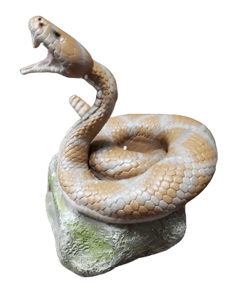 Rattlesnake Trophy