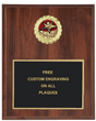 Rising Star Insert Plaque