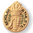 Scholar Athlete Lapel Pin (BR Series)