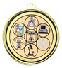 Science Fair Medal