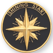 Shining Star - 1 Inch Gold Pin (BR Series)