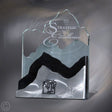 Silver Mountain Award