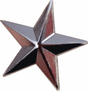 Silver Star Lapel Pin