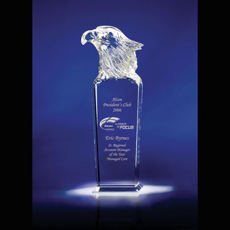 Sky Master Eagle Award