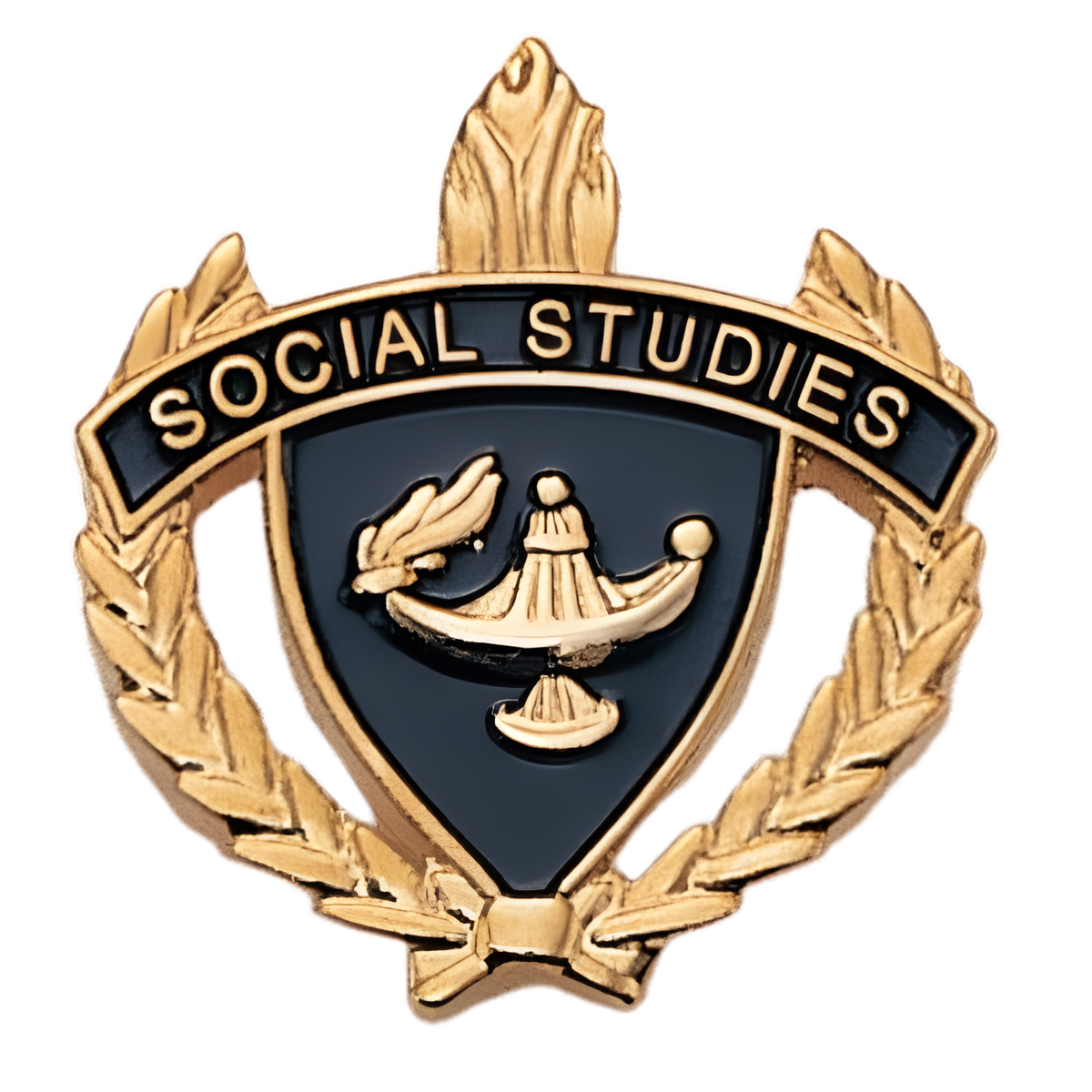 Social Studies HP Series Pins
