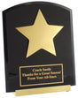 Star Achiever Acrylic Award