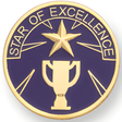 Star of Excellence Pin (BR Series)