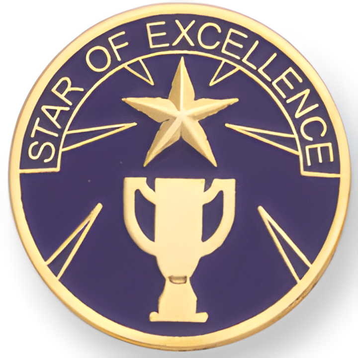 Star of Excellence Pin (BR Series)