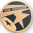 Star Performer (498150) Litho Medal Insert