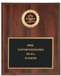 Star Performer Insert Plaque