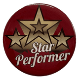Star Performer 2" Epoxy Insert