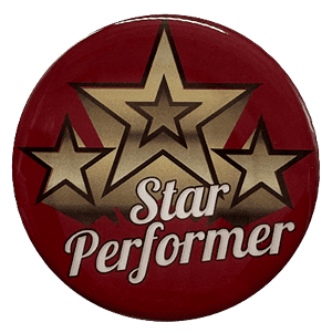 Star Performer 2" Epoxy Insert