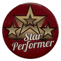 Star Performer 2" Epoxy Insert
