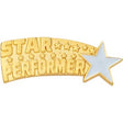 Star Performer Lapel Pin (BR Series)