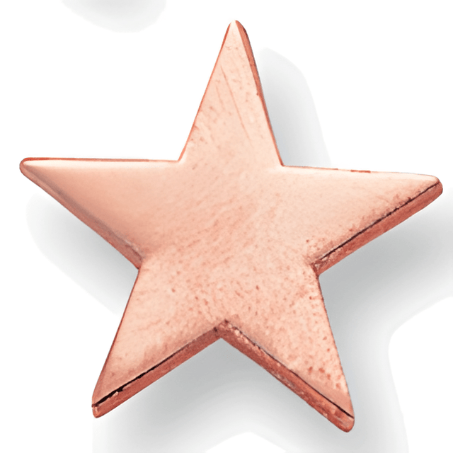 Flat Star - 3/4 Inch Bronze Pin