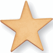 Flat Star Pin - 1 Inch Flat Gold (BR Series)