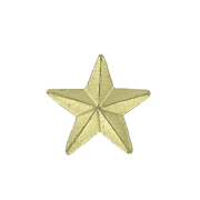 Star Lapel Pin Gold - 3/8 Inch (BR Series)