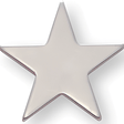 Silver Pin - 1 Inch Flat