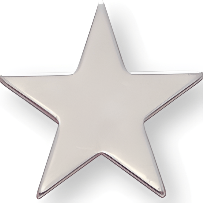Silver Pin - 1 Inch Flat