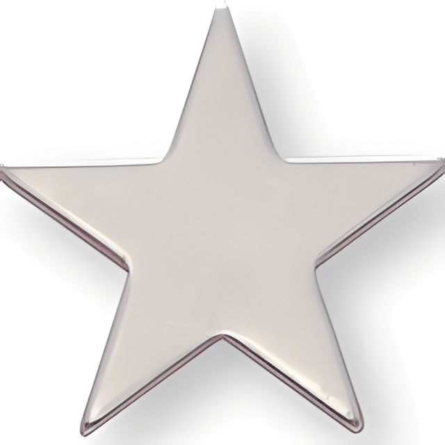 Silver Pin - 1 Inch Flat