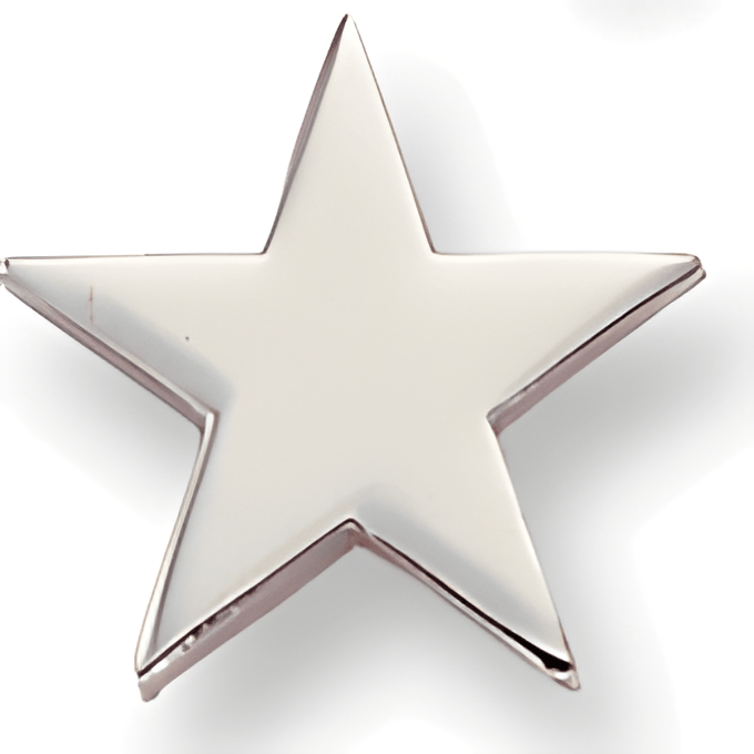 Silver Pin - 3/4 Inch Flat (BR Series)