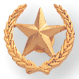 Star & Wreath Pin - 1/2 Inch (BR Series)