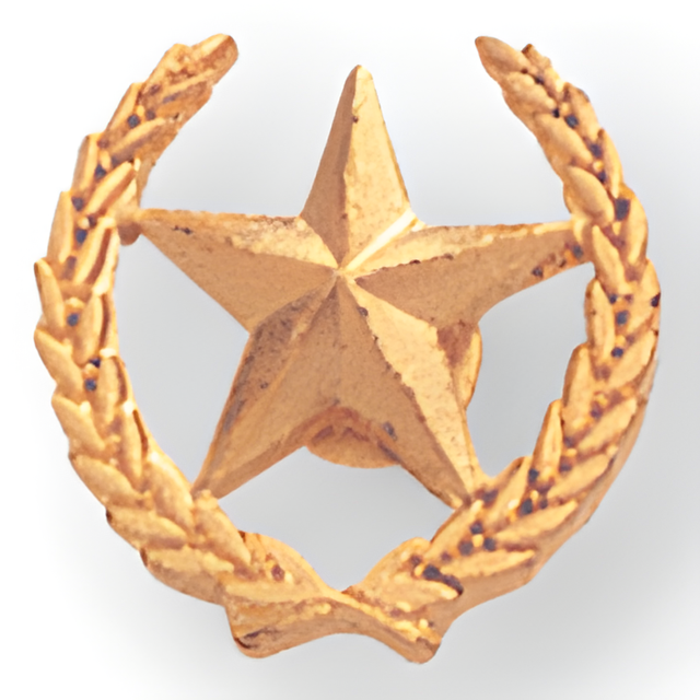 Star & Wreath Pin - 1/2 Inch (BR Series)