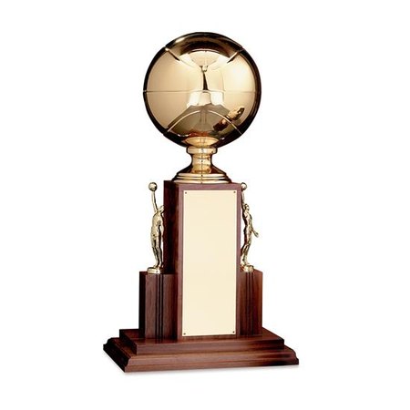 Perpetual Team Sports Award