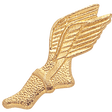 Gold Track Winged Foot Lapel Pin