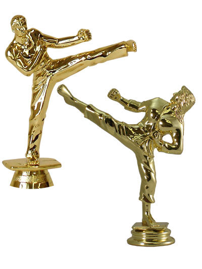 Karate 2026 Year Trim Trophy
