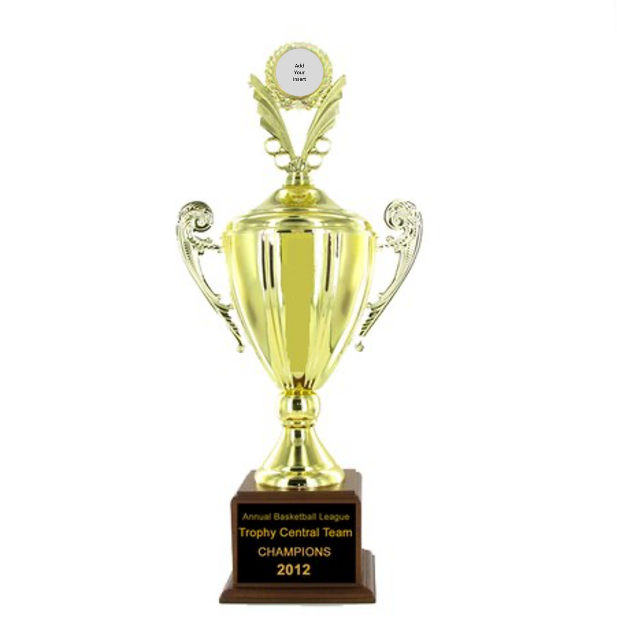 Large Cup Trophy with Subject Insert