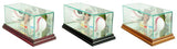 Two Baseball & Card Glass Display Case