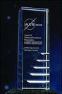 Unique Steps to Success Awards