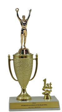 Victory 1st, 2nd and 3rd Place Award Cup Trophy