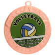 Volleyball Bronze Medal