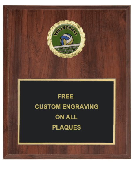 Volleyball Insert Plaque