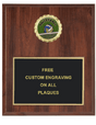 Volleyball Insert Plaque